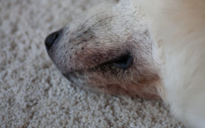 Secondary problems? False alarm!