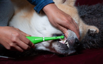 Biopsy confirmed, medication started