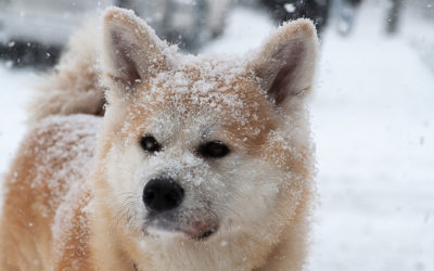 I remember even earlier SA-signs now!