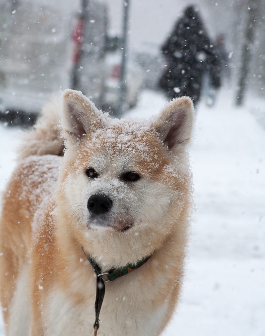 I remember even earlier SA-signs now!